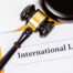 International law document - EU Accedes